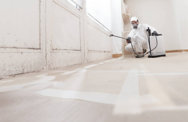 24/7 Emergency Mold Remediation experts in Bogota, NJ