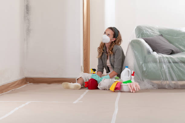 Reliable Mold Remediation contractor in Bogota, NJ by Cheap Mold Removal